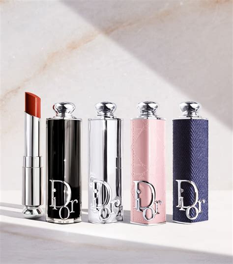 dior cosmetic case|dior lipstick collection case.